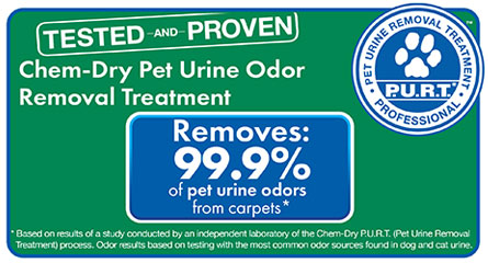 Antietam Chem-Dry removes 99.9% of pet urine odors from carpets. Trust us to professionally clean and remove unwanted odors today!