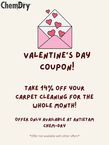 Valentine's Day Carpet Cleaning Sale